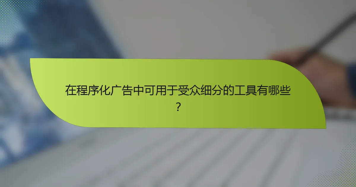 在程序化广告中可用于受众细分的工具有哪些?